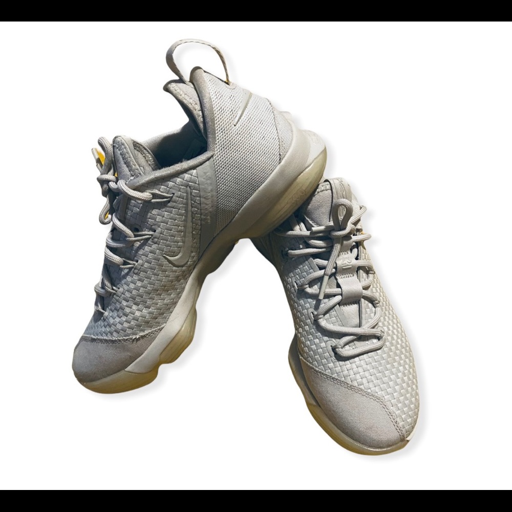 Lebron James Low Sneakers